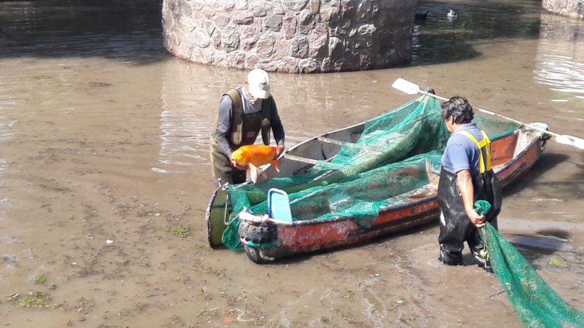 Todo Jujuy | Traslado de peces del Lago de Popeye