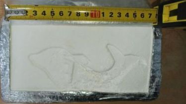 Cinco gendarmes fueron detenidos como responsables de la desaparición de más de 15 kilos de cocaína.