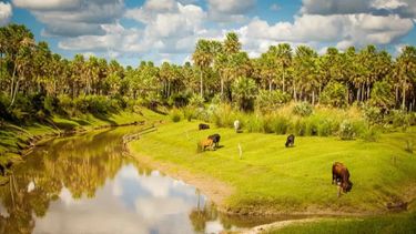 Qué puedo hacer en Villa Guillermina. Qué puedo hacer en Villa Guillermina.