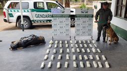 Gendarmería decomisó cocaína en Salta.