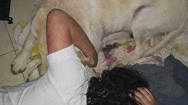 ¡Toto regresó a casa! La mascota de una niña con autismo fue encontrada
