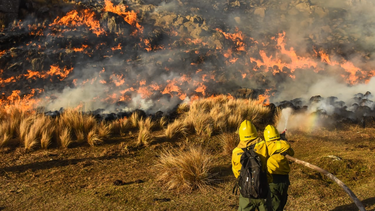 Preocupa la situación con los incendios forestales / Foto de Carlos Paz vivo