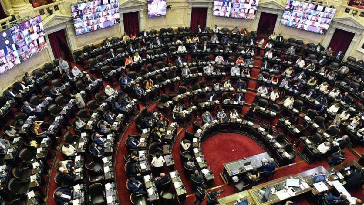 cayo la sesion la primera sesion presencial de diputados