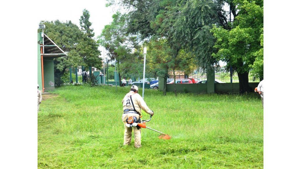 Dengue en Jujuy: incrementaron un 50% el desmalezamiento