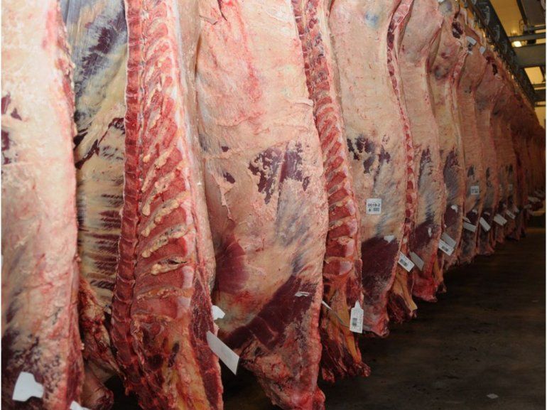 Exportación de carne