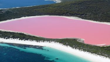 Impactantes imágenes de lagunas rosas en el mundo&nbsp;