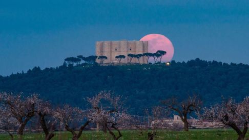 Todo Jujuy | luna rosa.jpg