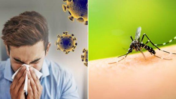 Dengue y covid-19: piden estar alertas a síntomas comunes que merecen atención y cuidado