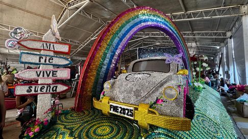 Todo Jujuy | Carroza del Colegio del Huerto en la FNe 2025