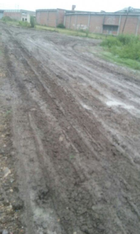 barrial