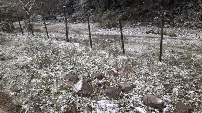 Las mejores fotos de la primera nevada en Jujuy: Los Nogales y Yala