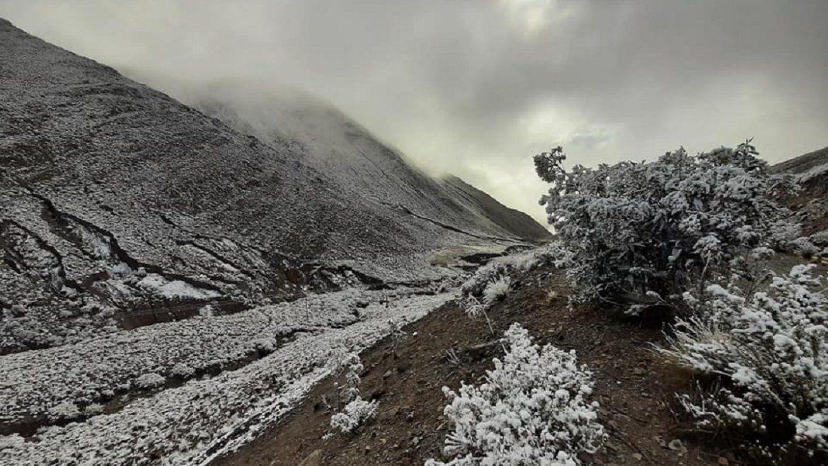 Todo Jujuy | Nieve en Cianzo (3).jpeg