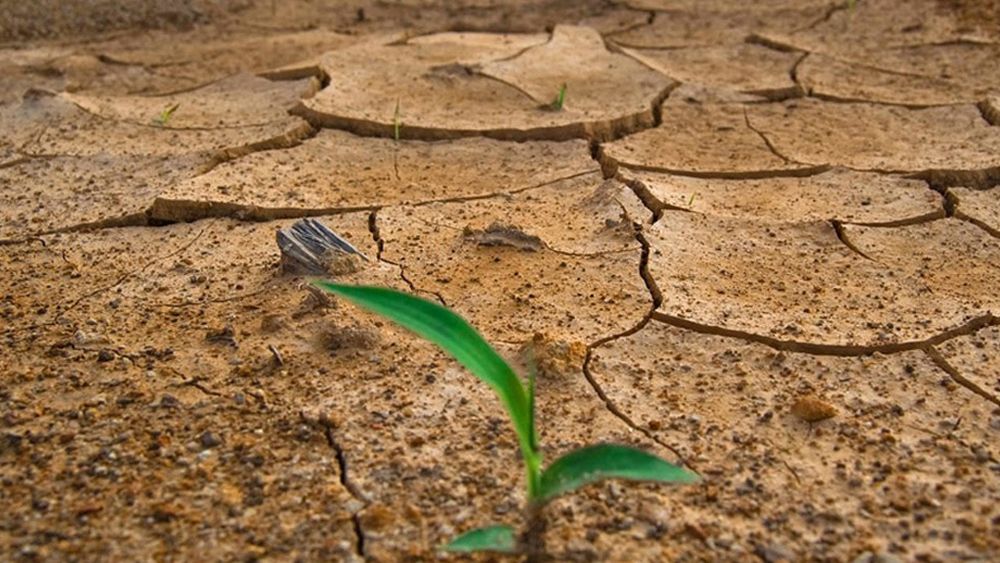 Cambio climático