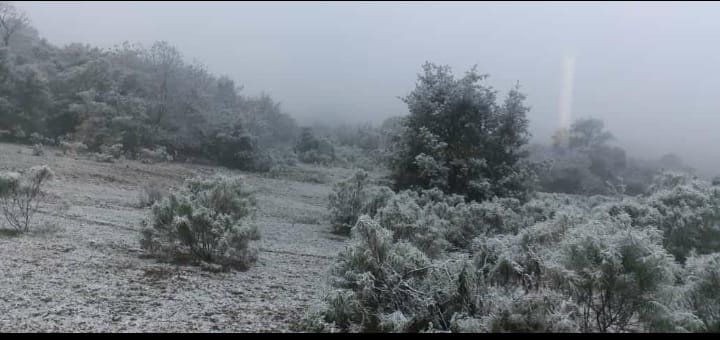 Nieve en Jujuy 