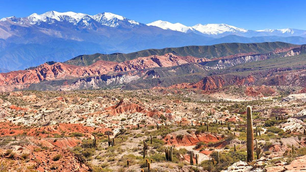 Escapadas conocé el mágico Parque Nacional cerca de de Salta