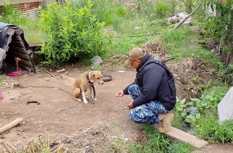 Caso de maltrato animal.