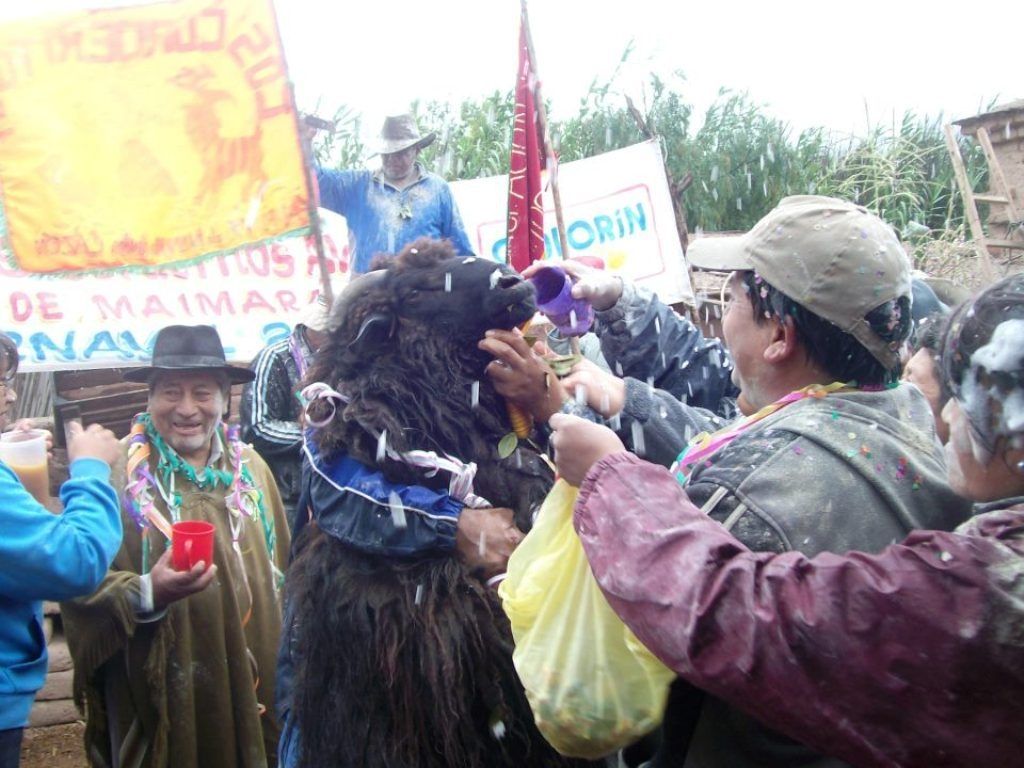 Chaya, señalada y enfloramiento
