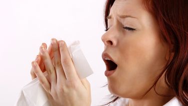 El 20% de la población mundial sufre alguna enfermedad alérgica