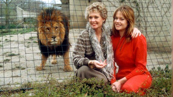 Melanie Griffith: convivió con 71 leones en la vida real