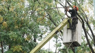 Interrupción programada de energía en San Pedro este lunes 6 de abril Interrupción programada de energía en San Pedro este lunes 6 de abril