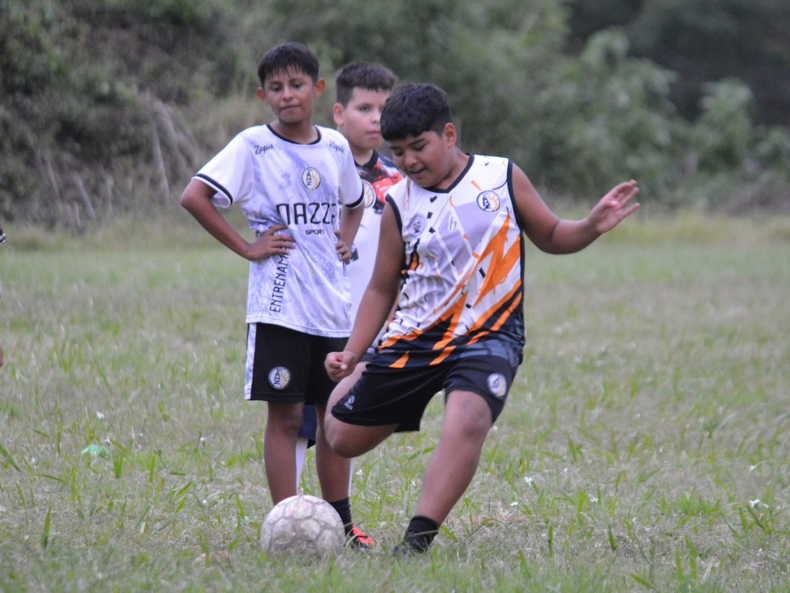 Altos Hornos Zapla probará jugadores para las inferiores. Altos Hornos Zapla probará jugadores para las inferiores.