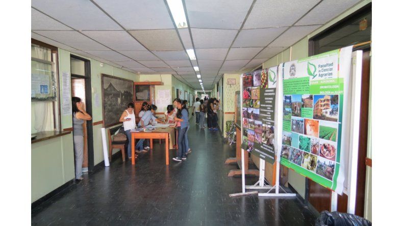 Movimiento en Agrarias