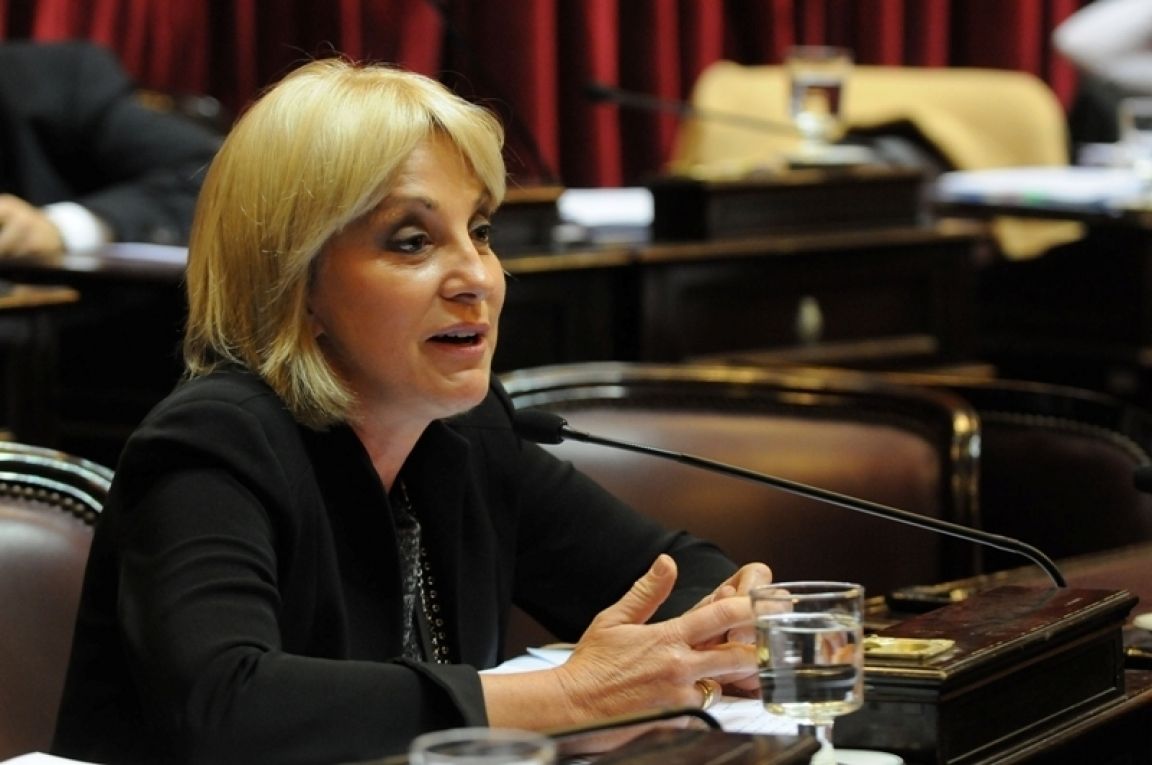 Senadora Fellner