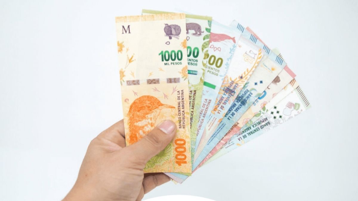 ANSES: ¿quiénes y cómo se cobra el bono de 40 mil pesos?