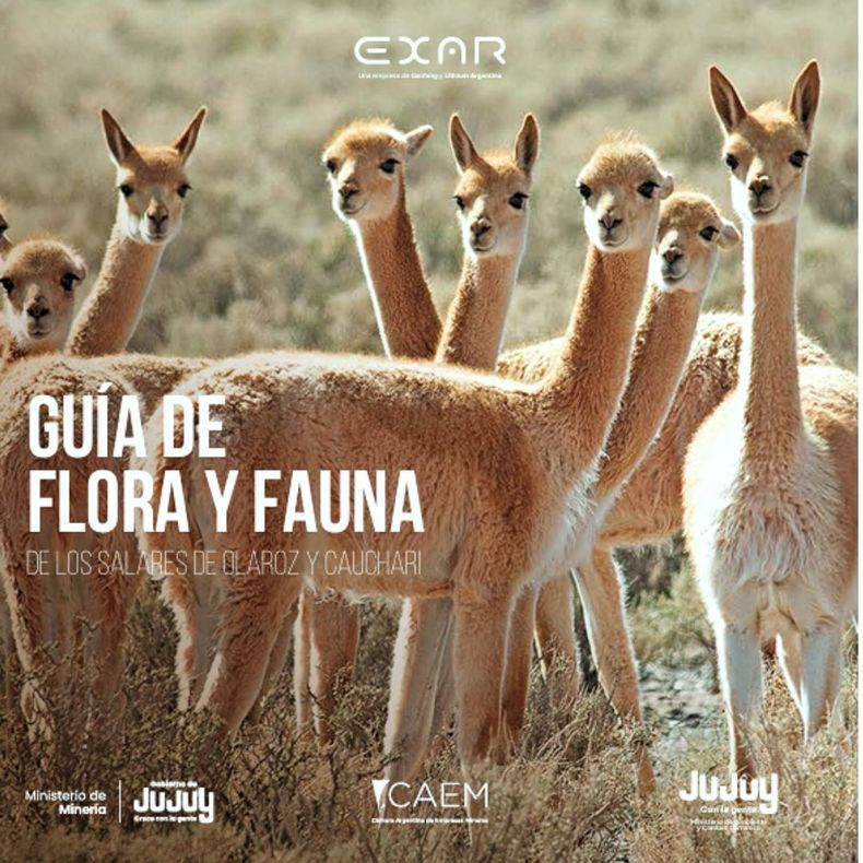 XAR presenta una Guía de Flora y Fauna de Cauchari-Olaroz elaborada junto al Ministerio de Ambiente y Cambio Climático de Jujuy XAR presenta una Guía de Flora y Fauna de Cauchari-Olaroz elaborada junto al Ministerio de Ambiente y Cambio Climático de Jujuy