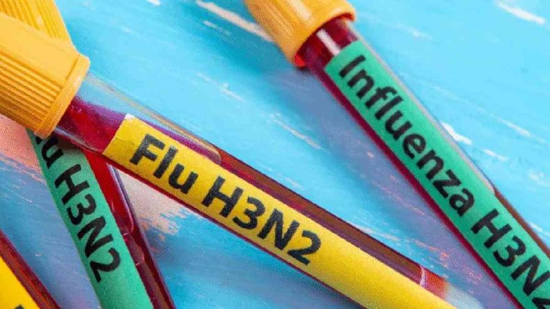 Gripe H3N2 a Argentina (Foto ilustrativa)