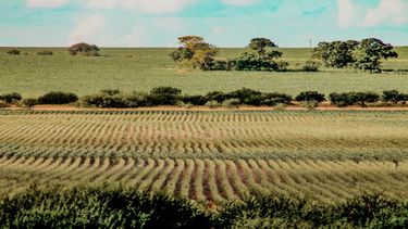 El pueblo entrerriano que muchos pasan por alto pero sorprende este verano. El pueblo entrerriano que muchos pasan por alto pero sorprende este verano.