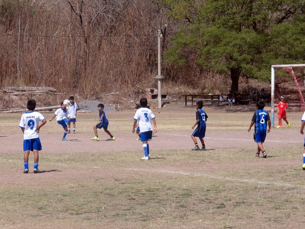 Fútbol infantil
