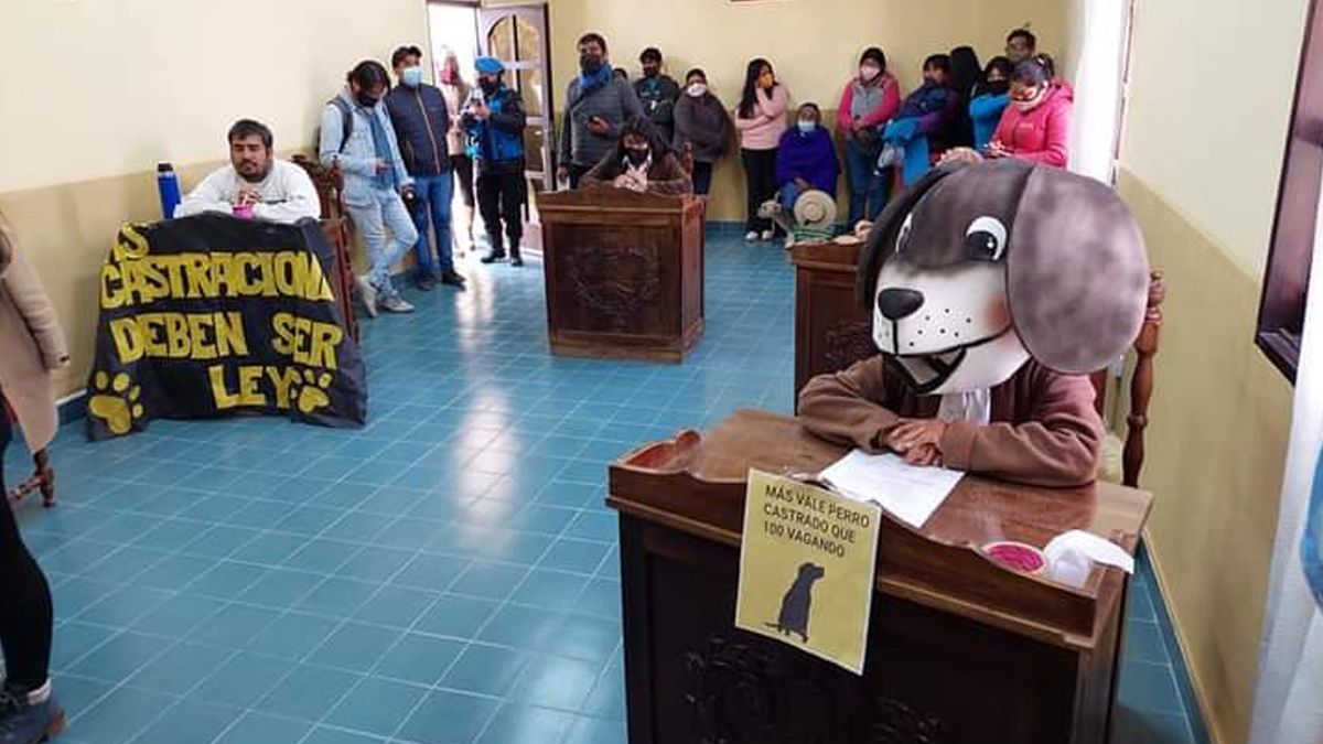 Una concejal sorprendió en el Concejo Deliberante de La Quiaca.