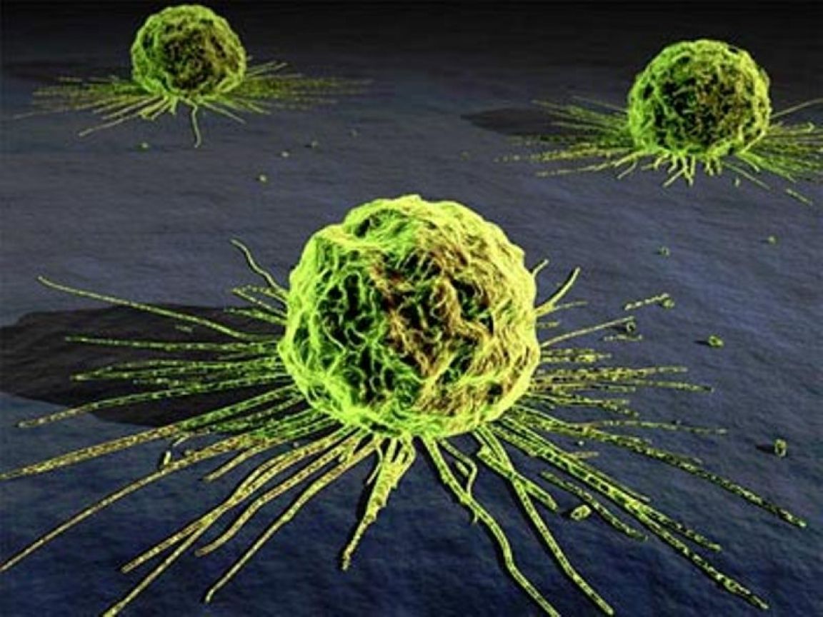Investigación en cáncer