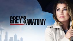 Desde el próximo martes y de manera semanal a las 22 por medio de la señal Sony Channel se podrá disfrutar de la temporada número 18 de Greys Anatomy.