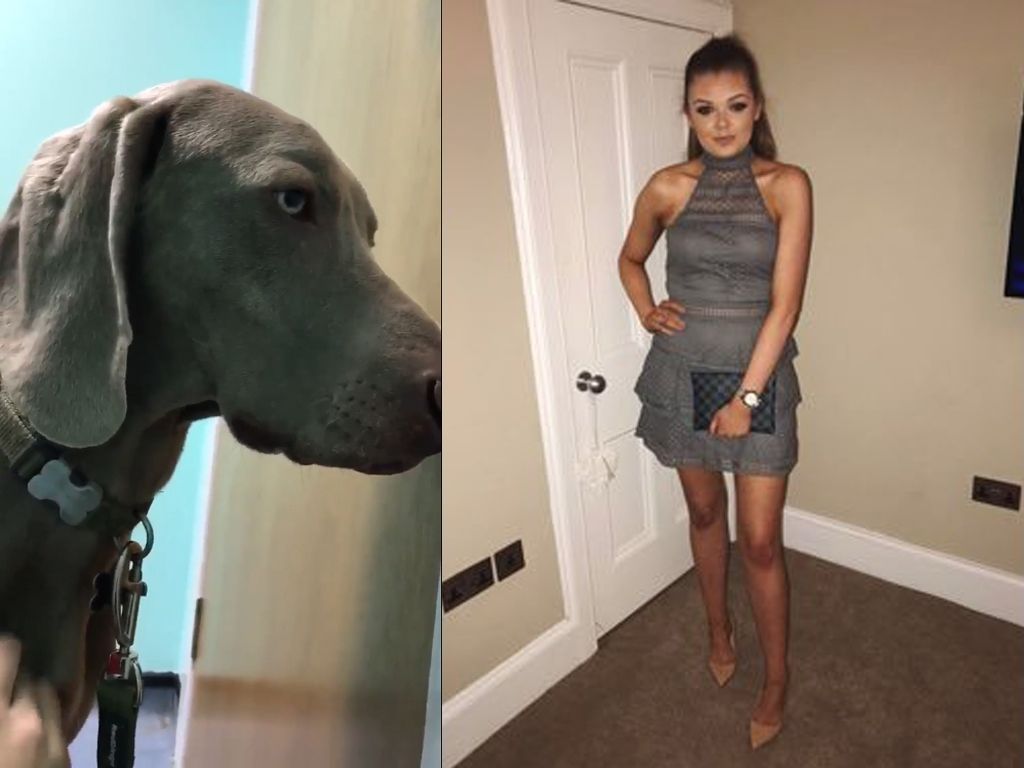 Chloe y su perro