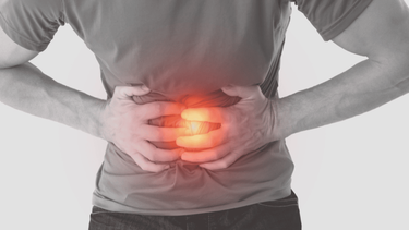 Un especialista de Harvard reveló los 5 elementos domésticos que dañan el intestino. &nbsp;