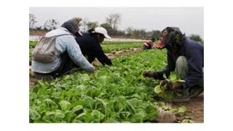 Trabajo en el campo