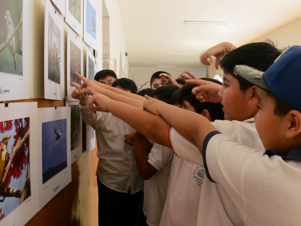 Muestra en las escuelas