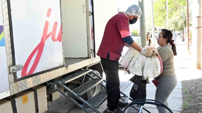 Castración y vacunación de mascotas en San Salvador de Jujuy (Foto ilustrativa) Castración y vacunación de mascotas en San Salvador de Jujuy (Foto ilustrativa)