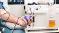 el plasma tiene eficacia limitada en pacientes con coronavirus el plasma tiene eficacia limitada en pacientes con coronavirus