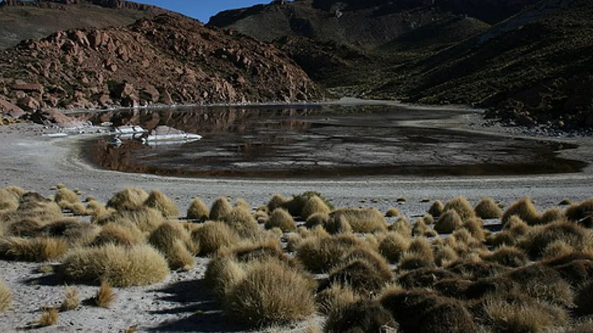 Lagunillas del Farallón buscar reforzar la seguridad en la frontera