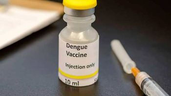 Recomiendan un plan estrategico de vacunación tras el brote de dengue en el país.