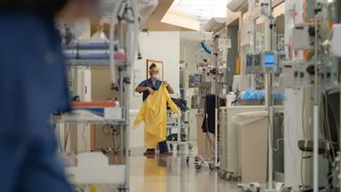 Argentina registró un total de 221 casos de viruela del mono.