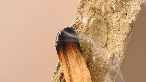 Todo Jujuy | palo santo (1).jpg