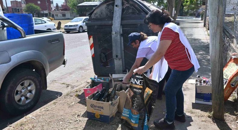Operativo contra el dengue en Jujuy.