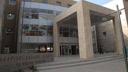 Sigue internado en el Materno Infantil en bebe atacado por un pitbull (Foto ilustrativa)