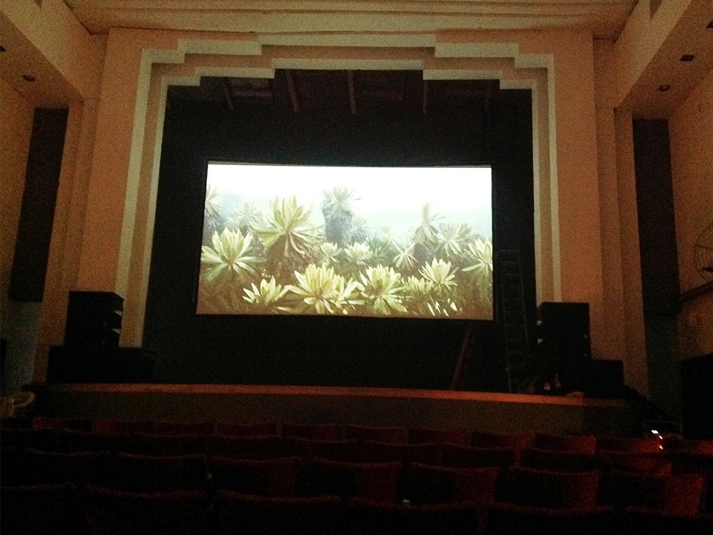 Nuevo cine