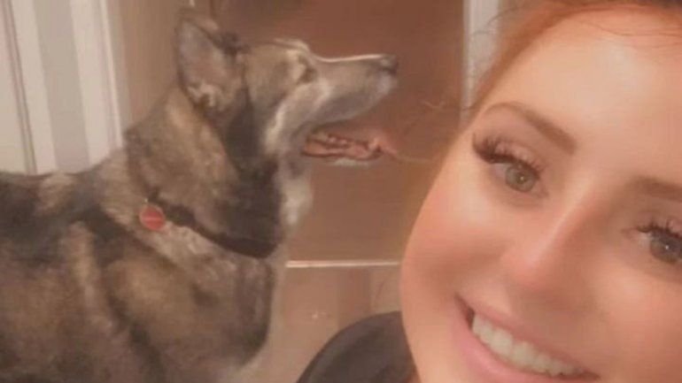 Gales: una joven fue a una fiesta y despertó con un perro desconocido en su propia cama.&nbsp;