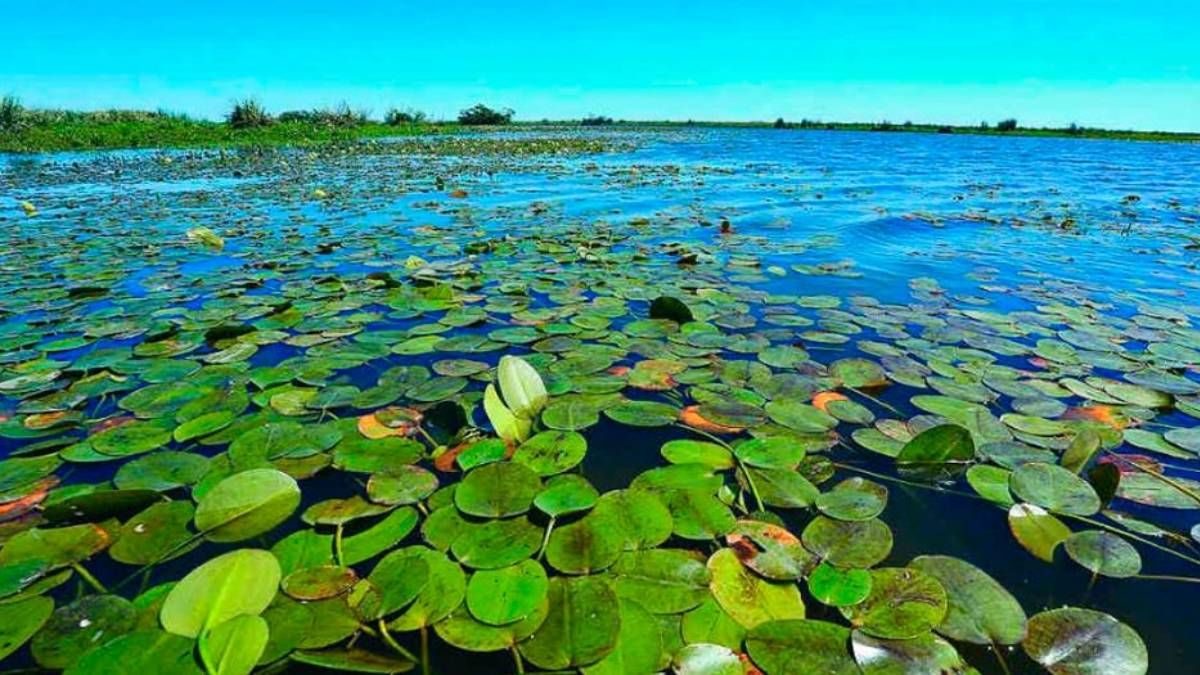 Parque Nacional: es el más grande pero el menos visitado de Argentina